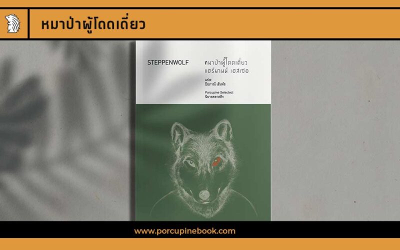 หมาป่าผู้โดดเดี่ยว