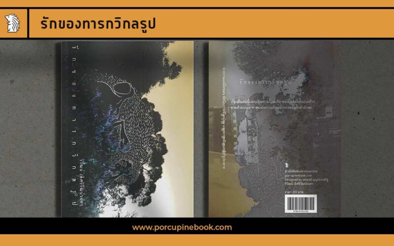รักของทารกวิกลรูป