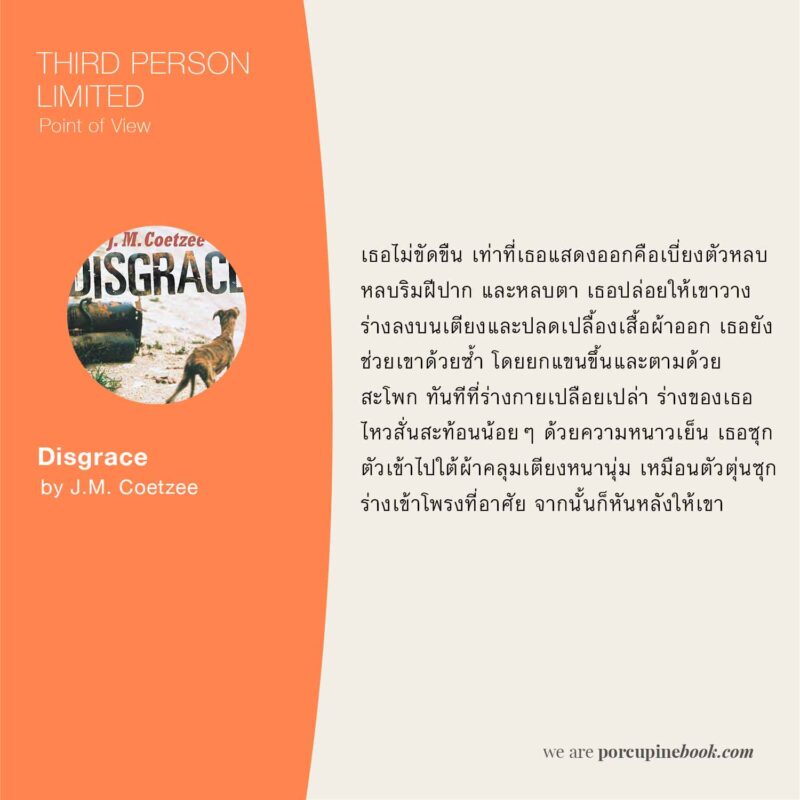 บุคคลที่สามจำกัดมุมมอง  Disgrace: J.M. Coetzee