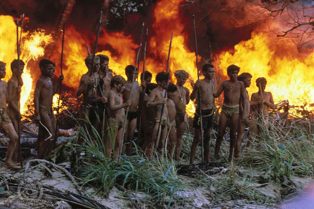 จุดเริ่มต้นของเหตุการณ์ ใน Lord of the Flies 